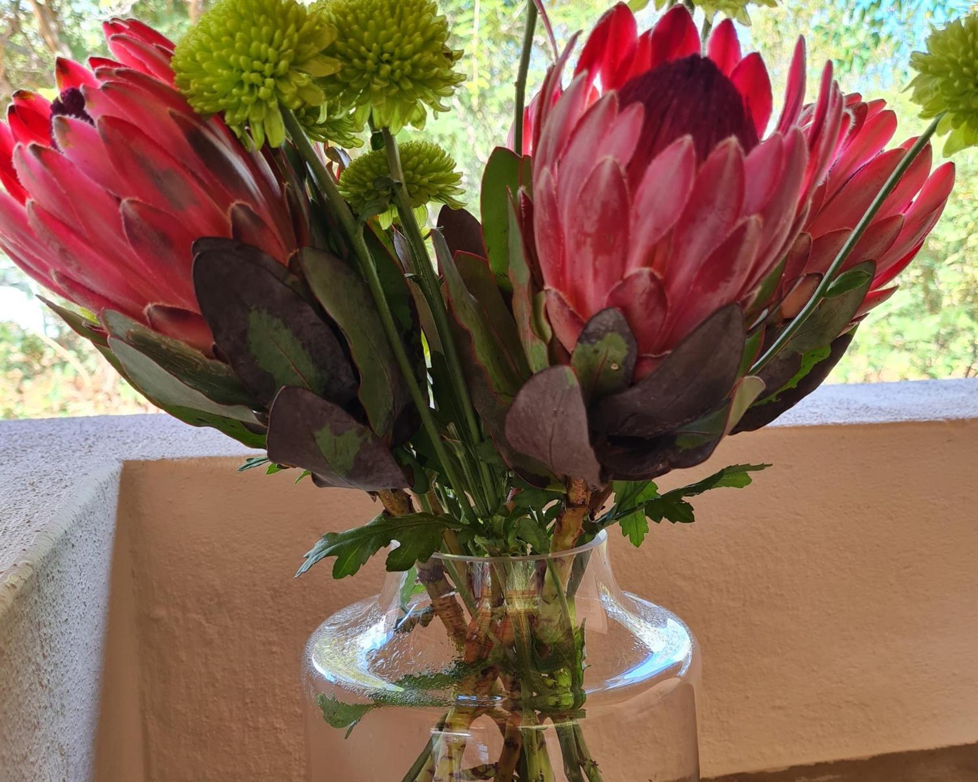 The Dreamcatcher Lodge Hoedspruit Esterno foto